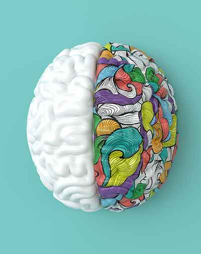 Un cerveau humain créatif.