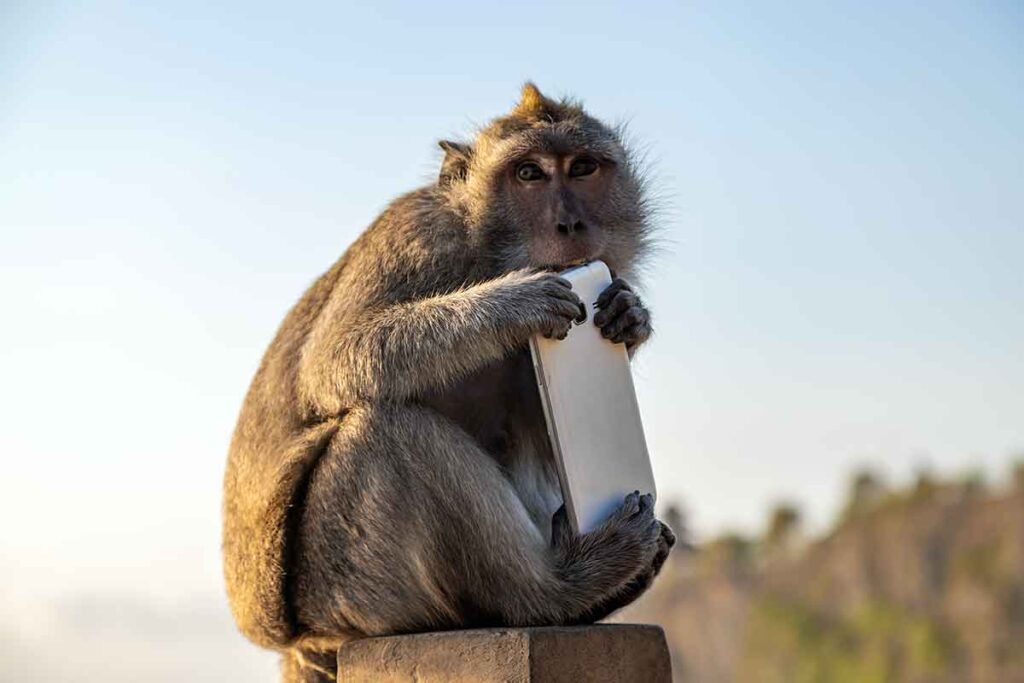 Psychologie de l'argent.