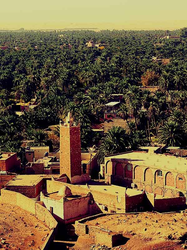 Vue de El Goela en Algérie - © Roger Juillerat
