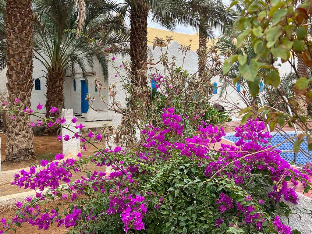 B&B caravanserail - © Roger Juillerat