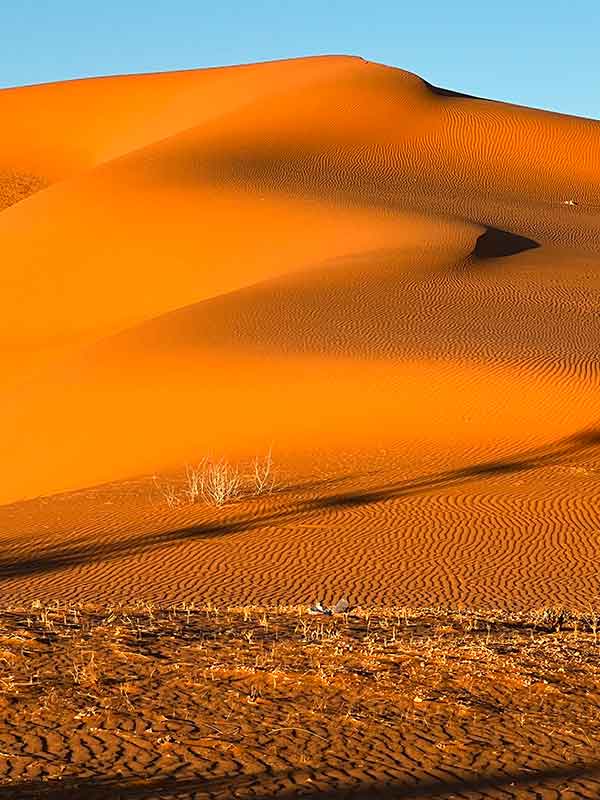 Dunes dans le désert algérien © Roger Juillerat